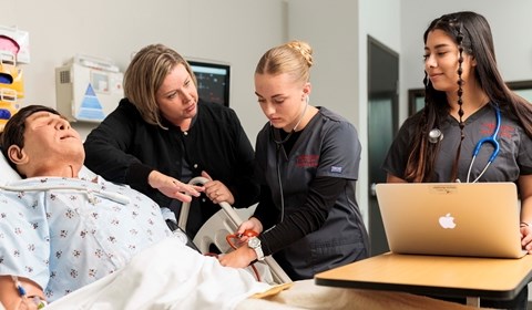 bingo plus net rewards login