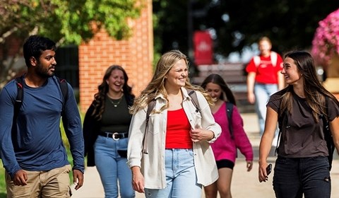 bingo plus net rewards login